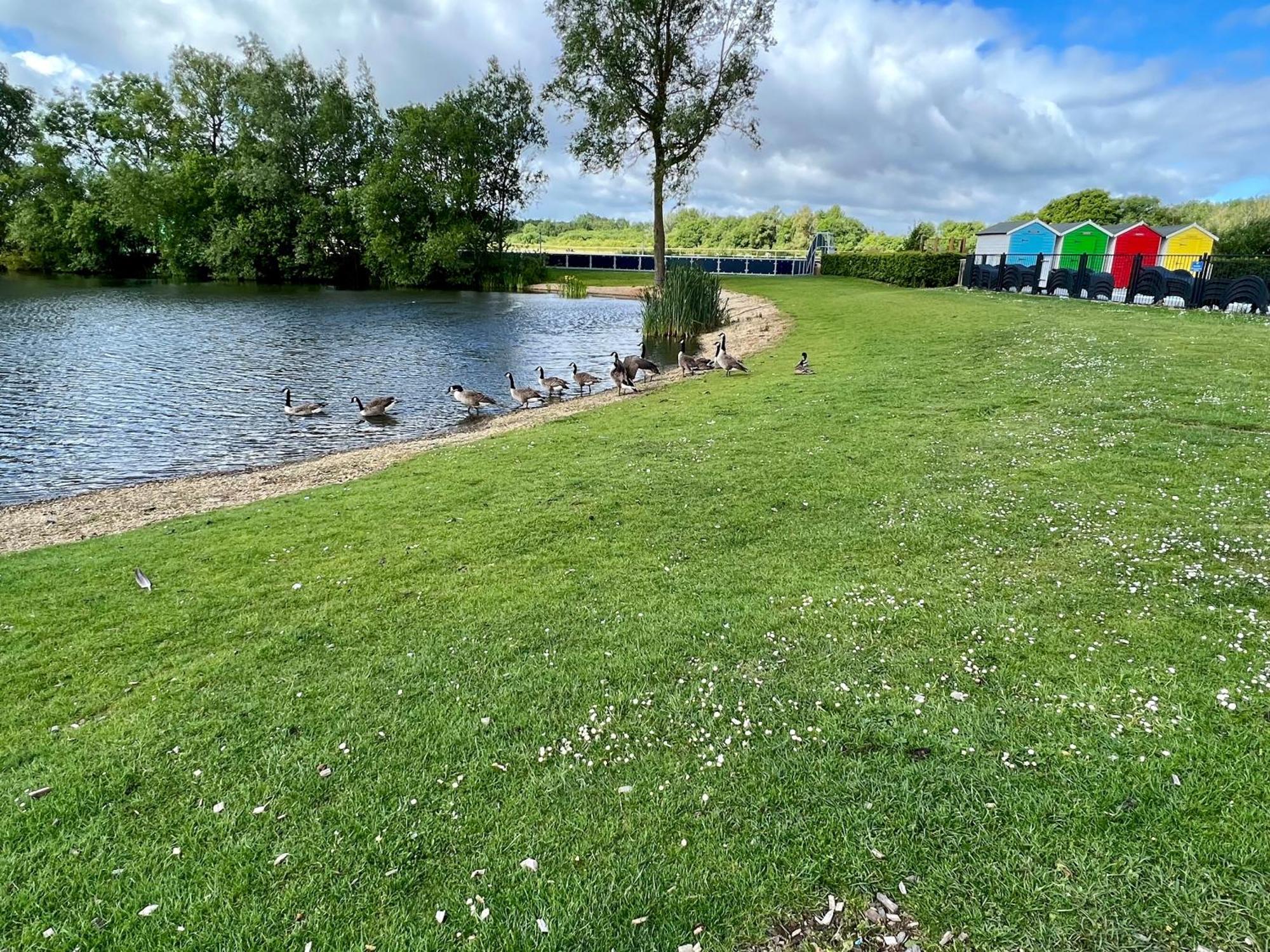 Cottontail Lodge - Hot tub - Pet Friendly South Cerney Eksteriør billede